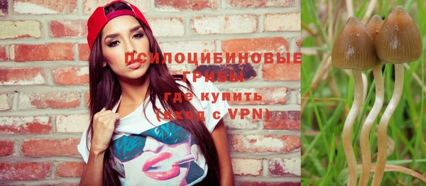 хмурый Краснотурьинск