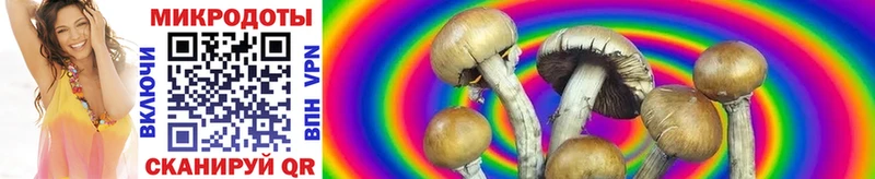 наркошоп Называевск Галлюциногенные грибы MAGIC MUSHROOMS